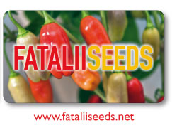 A large collection of the top quality chile pepper seeds here
